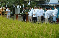 静岡県神道青年会