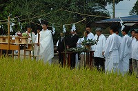 静岡県神道青年会