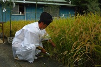 静岡県神道青年会