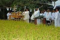 静岡県神道青年会