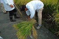 静岡県神道青年会