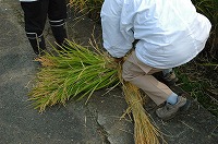 静岡県神道青年会