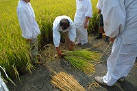 静岡県神道青年会