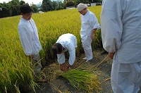 静岡県神道青年会