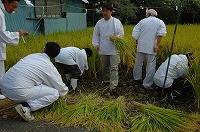 静岡県神道青年会