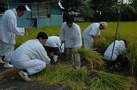 静岡県神道青年会