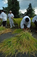 静岡県神道青年会