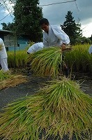 静岡県神道青年会