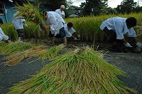 静岡県神道青年会