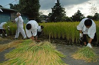 静岡県神道青年会