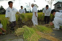静岡県神道青年会