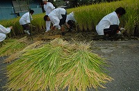 静岡県神道青年会