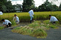 静岡県神道青年会