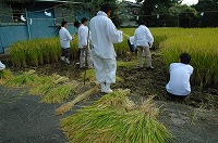 静岡県神道青年会