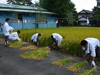 静岡県神道青年会