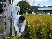 静岡県神道青年会