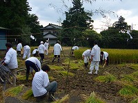 静岡県神道青年会