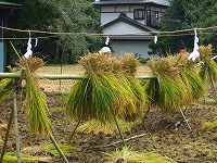 静岡県神道青年会