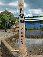 静岡県神道青年会