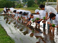 静岡県神道青年会