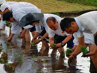 静岡県神道青年会