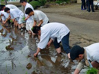 静岡県神道青年会