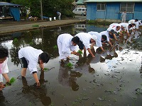 静岡県神道青年会